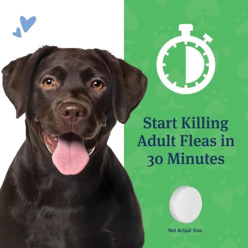 PetArmor CAPACTION Oral Flea Treatment for Dogs (6 Doses) + Bonus PetArmor Plus Topical Flea & Tick Treatment & Preventative for Dogs 89-132 lbs (1 Dose)