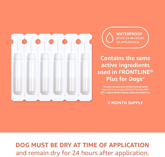 Amazon Basics Flea and Tick Topical Treatment for Small Dogs (5 -22 pounds), Unscented, 6 Count (Previously Solimo)