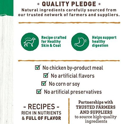 NUTRO PREMIUM LOAF Adult Natural Grain Free Wet Dog Food Healthy Turkey, Sweet Potato & Green Bean Recipe, 12.5 oz. Cans (Pack of 12)