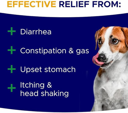 Probiotics for Dogs + Digestive Enzymes - Omega & Pumpkin - Gut Health & Immunity Support - Relieves Diarrhea, Gas, Constipation, Improve Digestion - Made in USA - 100 ct - Turkey