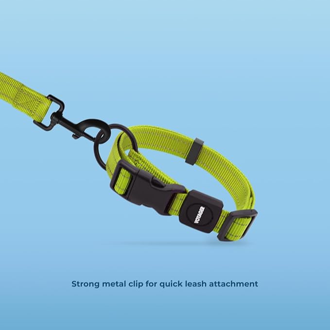 Voyager Reflective Dog Leash Collar Set with Neoprene Handle Supports Small, Medium, and Large Breed Puppies, Cute and Heavy Duty for Walking, Running, and Training - Lime Green, M