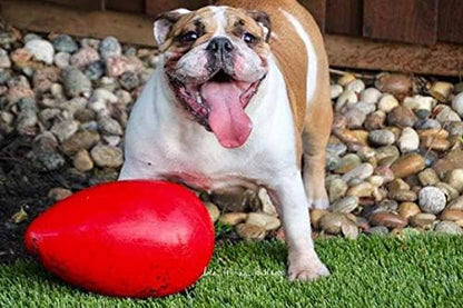 Jolly Pets Jolly Egg Dog Toy, 12 Inches/Large, Red