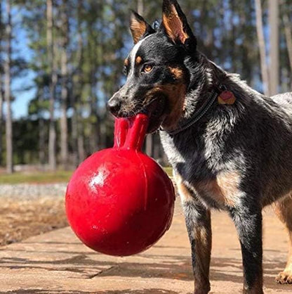 Jolly Pets Tug-n-Toss Heavy Duty Dog Toy Ball with Handle, 8 Inches/Large, Red (408 RD)