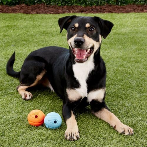Chuckit The Whistler Ball Dog Toy, Large (3 Inch Diameter) for Dogs 60-100 lbs, Pack of 1
