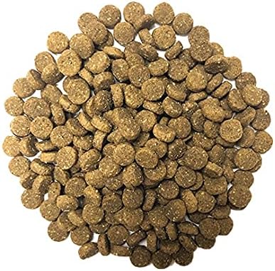 Muenster Ancient Grains Dog Food (4lb) - Ocean Fish Dry Dog Food for Large Dogs – Gluten Free, Non-GMO High Protein Dog Food - Healthy Digestive Dog Kibble for All Life Stages