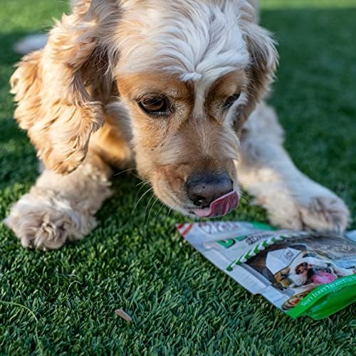 Loving Pets Deli-Licious Corned Beef Recipe Soft Jerky Dog Treats (6 oz)