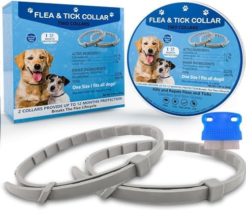 Flea Collar for Dogs, Dog Flea Collars Kill Flea and Ticks, 2 Pack Natural Flea and Tick Prevention Collar for Dogs, Water Resistant Dog Tick Collar, One Size Fits All Dogs
