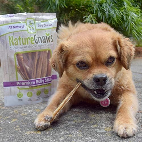 Nature Gnaws Super Skinny Bully Sticks for Small Dogs - Premium Natural Beef Dental Bones - Tasty Thin Dog Chew Treats for Toy Breeds & Puppies - Rawhide Free