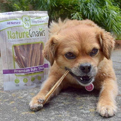 Nature Gnaws Super Skinny Bully Sticks for Small Dogs - Premium Natural Beef Dental Bones - Tasty Thin Dog Chew Treats for Toy Breeds & Puppies - Rawhide Free