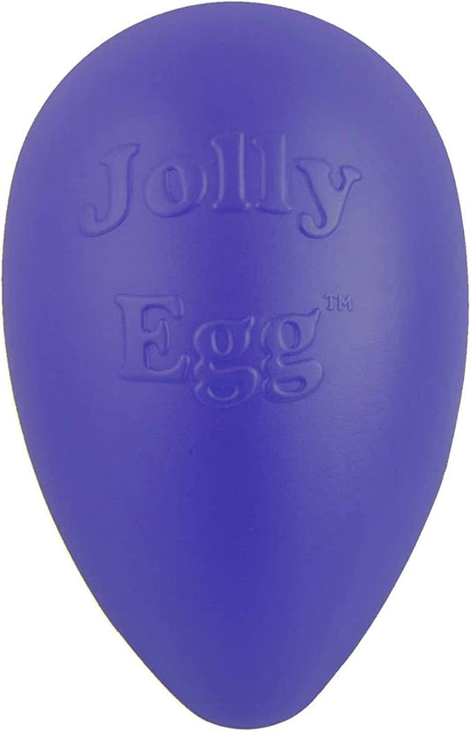 Jolly Pets Jolly Egg Plastic Dog Chew Toy 8 inch Purple