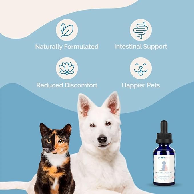 Intestinal Defense Supplement for Dogs & Cats | Naturally Helps Digestive Issues in Pets | Herbal Formula | by Prana Pets