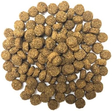 Muenster Perfect Balance Pork Meal w/Ancient Grains Dog Food (30lb) - Gluten Free Dry Dog Food – Non-GMO Gluten Free Dog Food - Complete & Balanced Dog Kibble for All Breeds & Life Stages