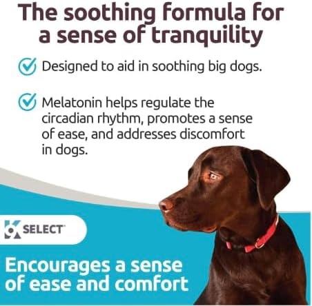 3 mg Melatonin - 100 Chewable Tablets, Melatonin for Dogs - Natural Immune System Booster