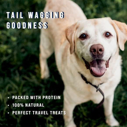Stewart Freeze Dried Dog Treats, Beef Liver, Salmon, Chicken Liver & Chicken Breast, 4 oz, 12 oz, 14 oz, 21 oz, Resealable Tub, Grain Free & Gluten Free, Single Ingredient, Dog Training Treats