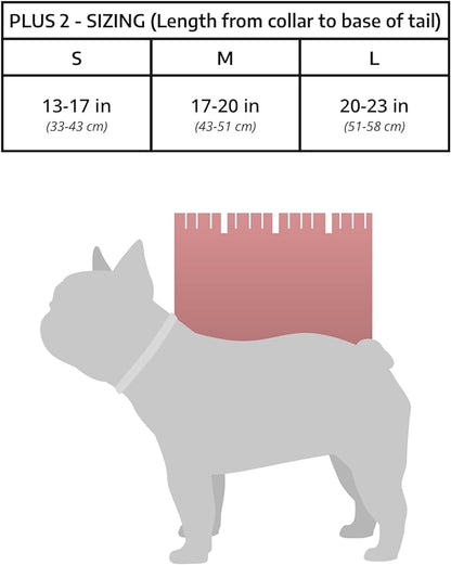 K9 Sport Sack | Dog Carrier Adjustable Backpack (Small, Plus 2 - Light Grey)