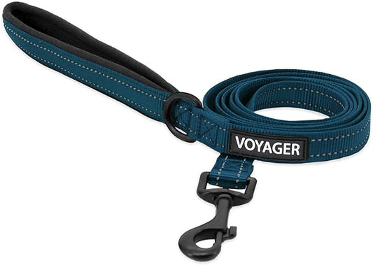 Voyager Reflective Dog Leash with Neoprene Handle, 5ft Long, Supports Small, Medium, and Large Breed Puppies, Cute and Heavy Duty for Walking, Running, and Training - Blue (Leash), L