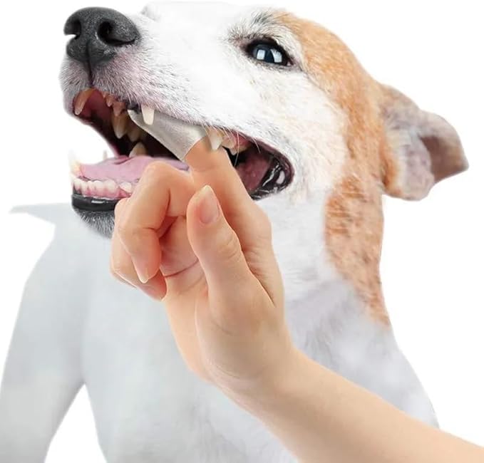 FRESH FRIENDS Best Dog Dental Care Finger Wipes - Reduces Plaque & Freshens Breath - Dental Wipes for Dogs Teeth Cleaning - Dog Dental Wipes - Dog Tooth Wipes - 50 Count - Peppermint & Aloe Vera