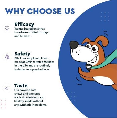 Premium Multivitamin for Dogs Daily Multi for Immune, Mood, Joint, Skin, Heart & Digestive Health - 21 in 1 Dog Multivitamins for Optimal Health Essential - 60 Multivitamin Dog Chews