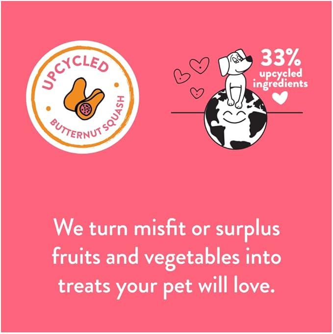 Shameless Pets Dog Jerky Treats - Salmon Jerky for Dogs Made with Upcycled Ingredients & Zero Artificial Flavors, Supports Healthy Skin & Coat - Salmon Says Butternut, Pack of 2