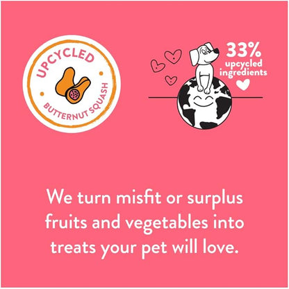 Shameless Pets Dog Jerky Treats - Salmon Jerky for Dogs Made with Upcycled Ingredients & Zero Artificial Flavors, Supports Healthy Skin & Coat - Salmon Says Butternut, Pack of 2