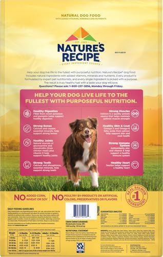 Nature’s Recipe Grain Free Salmon, Sweet Potato & Pumpkin Recipe Dry Dog Food, 12 lb. Bag