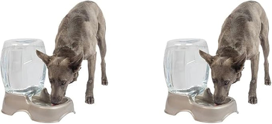 Petmate Pet Cafe Waterer Cat and Dog Water Dispenser 4 Sizes (Pack of 2)