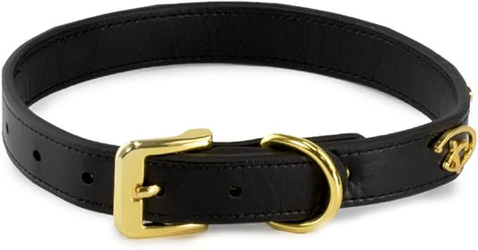 Buckle-Down Dog Collar, Disney, Signature D Logo Charms, Extra Small 6 to 9 Inch Length 0.38 Inches Wide