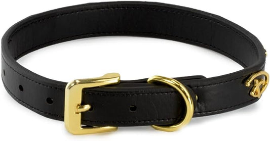 Buckle-Down Dog Collar, Disney, Signature D Logo Charms, Extra Large 18 to 24 Inch Length 1.15 Inches Wide