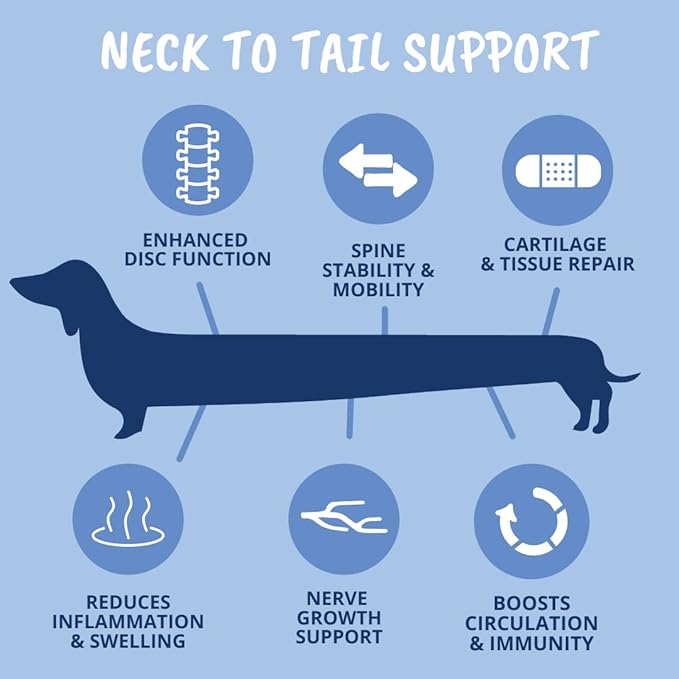 Under The Weather Pet Disc & Spine Health Chews for Dog | Vet Formulated Dog Chews Spinal Disc Support Supplement | Great for Dachshunds & Long Back Breeds with IVDD, Back & Joint Arthritis
