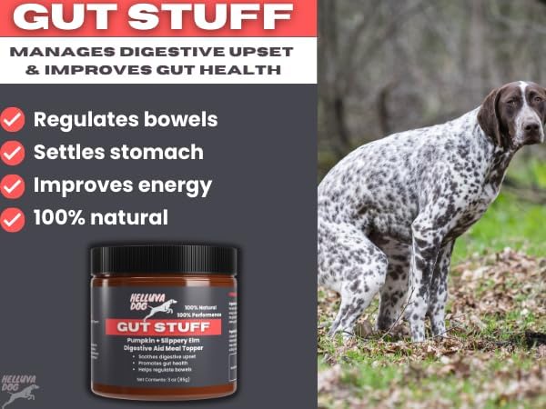 GUT STUFF by Helluva Dog — Digestive Aid Meal Topper for Active Sporting Dogs — Pumpkin & Slippery Elm for Dog's Upset Stomach & Better Gut Health, Packed with Fiber - 3oz