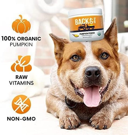 Pumpkin Power Vitamins for Dogs, Powdered Pumpkin with Vitamins A, C & E, Fiber-Rich for Optimal Pet Health, Combat Constipation, Multivitamin for Digestive Health, 24 oz (90 Day Supply)