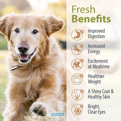 JustFoodForDogs Frozen Fresh Dog Food, Complete Meal or Dog Food Topper, Venison & Squash Human Grade Dog Food Recipe, 18 oz (Pack of 7)
