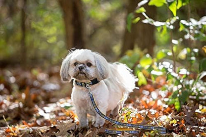 Pets First NHL ST.Louis Blues Leash for Dogs & Cats, Large. - Walk Cute & Stylish! The Ultimate Hockey Fan Leash!, 6 ft long x 1 in width, BLU-3031-LG