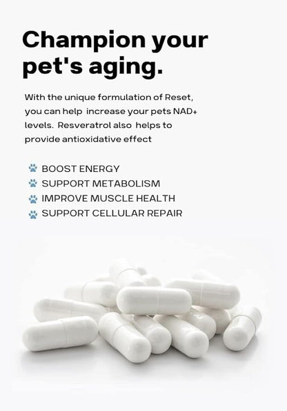 Reset NAD+ Booster for Dogs and Cats - Effective NR and Resveratrol Supplement for Healthy Aging, Cellular Repair, Increased Energy, and Metabolic Support- 60 Capsules