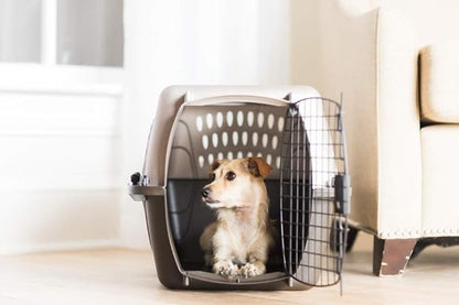Petmate Two-Door Small Dog & Cat Carrier for Pets Up to 10 Pounds with SnooZZy Sheepskin Bolster Crate Mat for 19' Crates, Up to 15 lbs