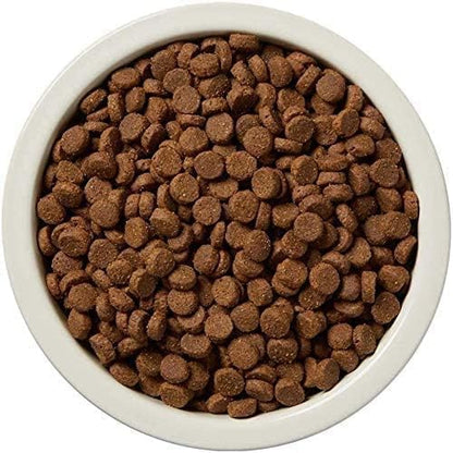Amazon Brand - Wag Dry Dog Food Beef & Sweet Potato, Grain Free 4 lb Bag