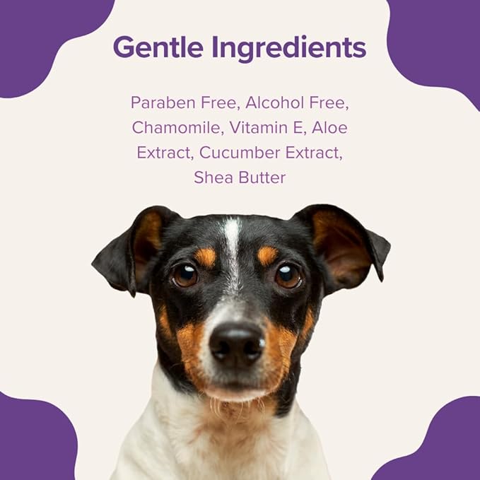 Stink! Plant Based Pet Wipes - Biodegradable - Dirt and Odor Control - Grooming Wipes for Easy Cleaning on Paws Body and Bum - Lavender Scented - 8" x 8" - 400 Count