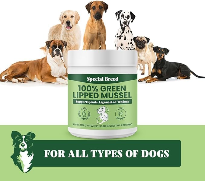 Green Lipped Mussels for Dogs & Cats - Premium Joint Supplement Powder for HIPS, Joints, and Muscles (300 Grams, Up to 1,000 Servings) - 3 Pack