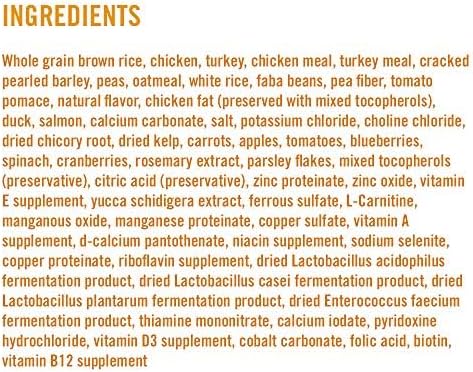 Chicken Soup for the Soul Pet Food Grain-Free Wet All Stages Dog Food, Lamb & Pea Pate, 13 Ounce Can (Pack of 12) | Soy, Corn & Wheat Free, No Artificial Flavors or Preservatives