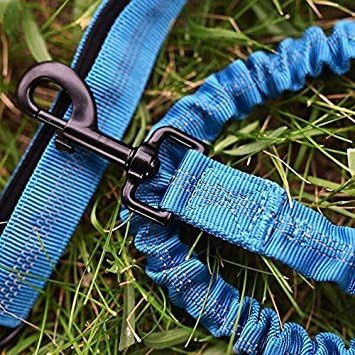 Wagtime Club Hands Free Bungee Dog Leash - Smart 3-in-1 Design For Running, Hiking, or Walking with Durable Dual Handles, SmartPhone Pouch, Reflective Stitching, 4FT Length for Medium to XLarge Dogs -
