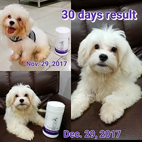 Healthy Breeds Yorkshire Terrier Tear Stain Wipes 70 Count (Pack of 2)