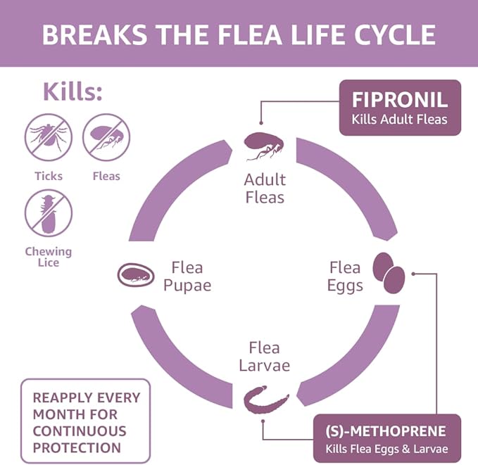 Amazon Basics Flea and Tick Topical Treatment for Large Dogs (45-88 pounds), Unscented, 3 Count (Previously Solimo)