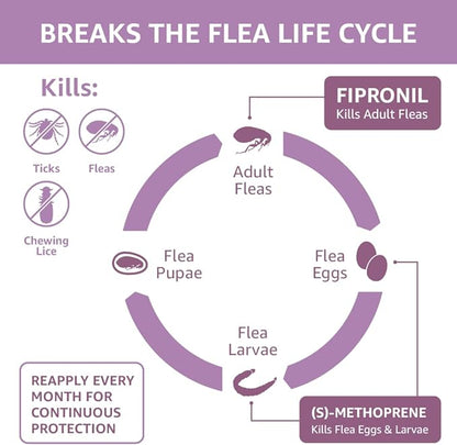 Amazon Basics Flea and Tick Topical Treatment for Large Dogs (45-88 pounds), Unscented, 3 Count (Previously Solimo)