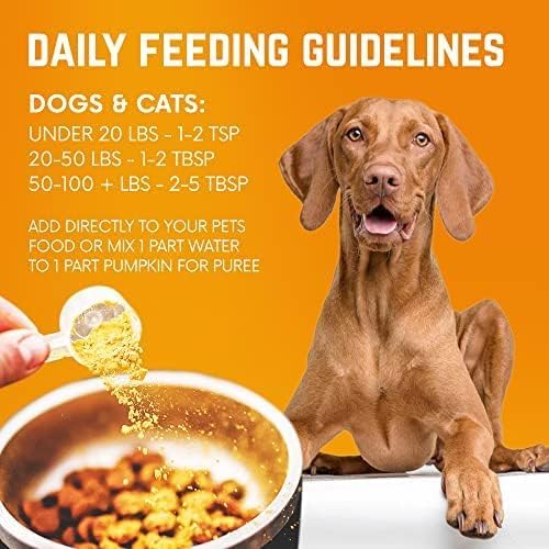 Pumpkin Power Vitamins for Dogs, Powdered Pumpkin with Vitamins A, C & E, Fiber-Rich for Optimal Pet Health, Combat Constipation, Multivitamin for Digestive Health, 24 oz (90 Day Supply)