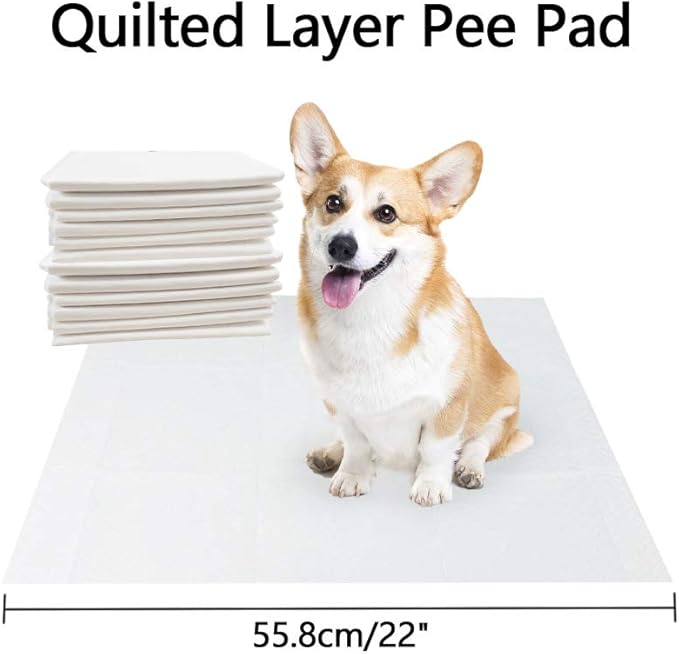 PAWISE Dog Training Pad Holder Tray, Indoor Puppy Potty Pee Pad Floor Tray with 12pcs Pee Pads