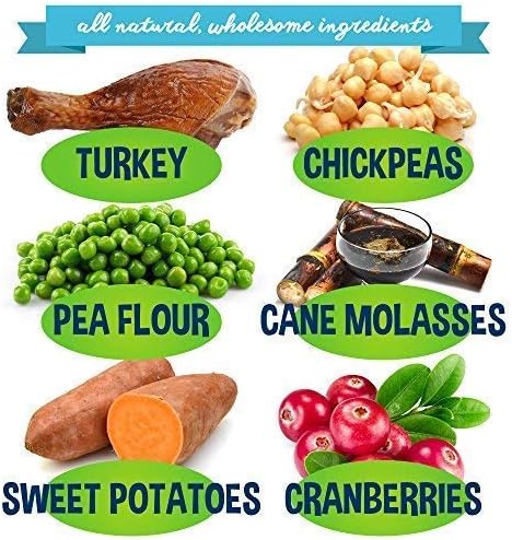 Bodhi Dog Jerky Dog Treats | Grain Free Turkey Dog Treats | Natural Snack Made w/Turkey, Chickpeas & Molasses | No Corn, Wheat or Soy | Healthy & Holistic Dog Treats | Made in USA (Turkey)