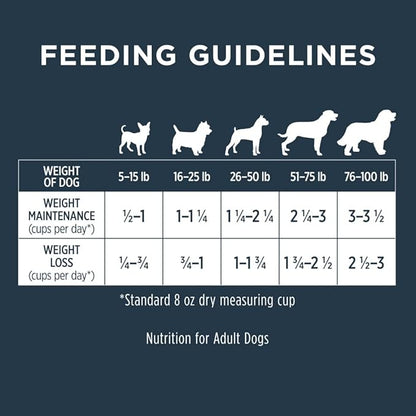 Instinct Raw Boost Healthy Weight Grain Free Recipe with Real Chicken Natural Dry Dog Food, 20 lb. Bag