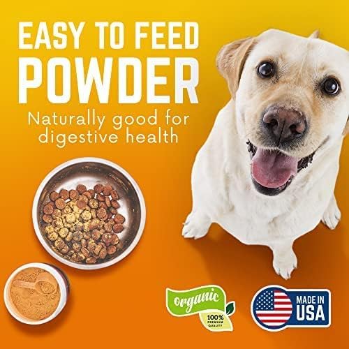 Pumpkin Power Vitamins for Dogs, Powdered Pumpkin with Vitamins A, C & E, Fiber-Rich for Optimal Pet Health, Combat Constipation, Multivitamin for Digestive Health, 24 oz (90 Day Supply)
