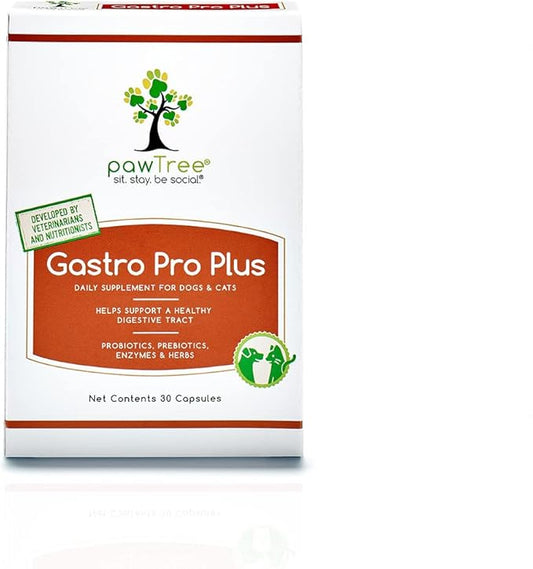 pawTree Gastro Pro Plus- Probiotics, Prebiotics & Digestive Enzymes Supplement for Dogs & Cats- Promotes Stomach Relief, Helps with Upset Gut, Constipation, Bad Gas & Diarrhea- Pet Health Essentials