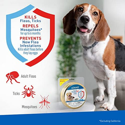 Flea & Tick Collar Plus for Dogs, 1.94 Oz, 12-Month Protection, Adjustable Fit, Flea & Tick Collar for Dogs Bundle with Moofin Silicon Pet Bowl, Kills & Repels Pests, One Size Fits All [2-Pack]